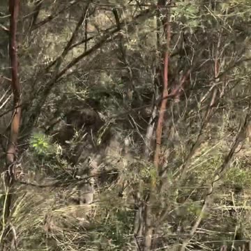 welcome to Australia 🇦🇺