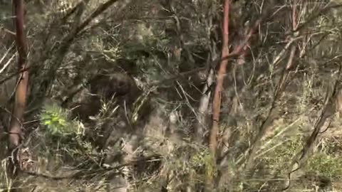 welcome to Australia 🇦🇺