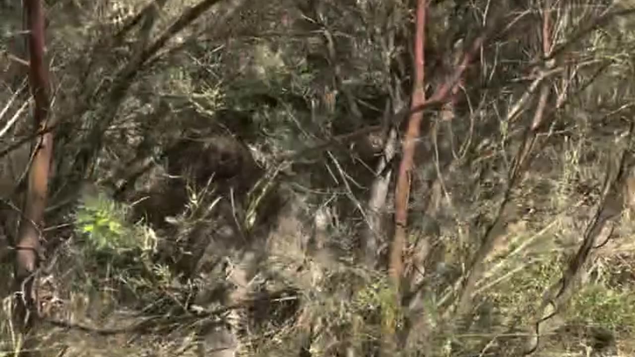 welcome to Australia 🇦🇺