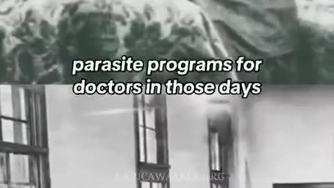 Hidden And Forgotten Knowledge Of Parasitology - Short Clip