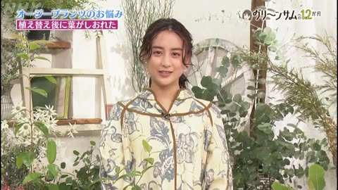 趣味の園芸 山本美月 グリーンサムへの12か月（6）「軽やかですてき!オージープランツ」