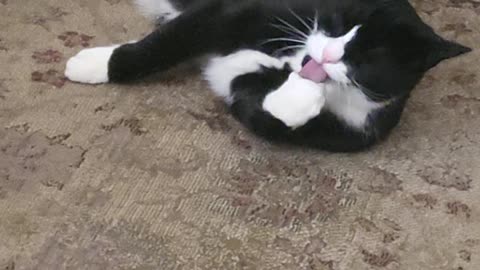 Storm cleaning herself