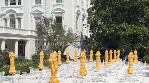 WH says Trump PERSONALLY 'playing Let It Be'