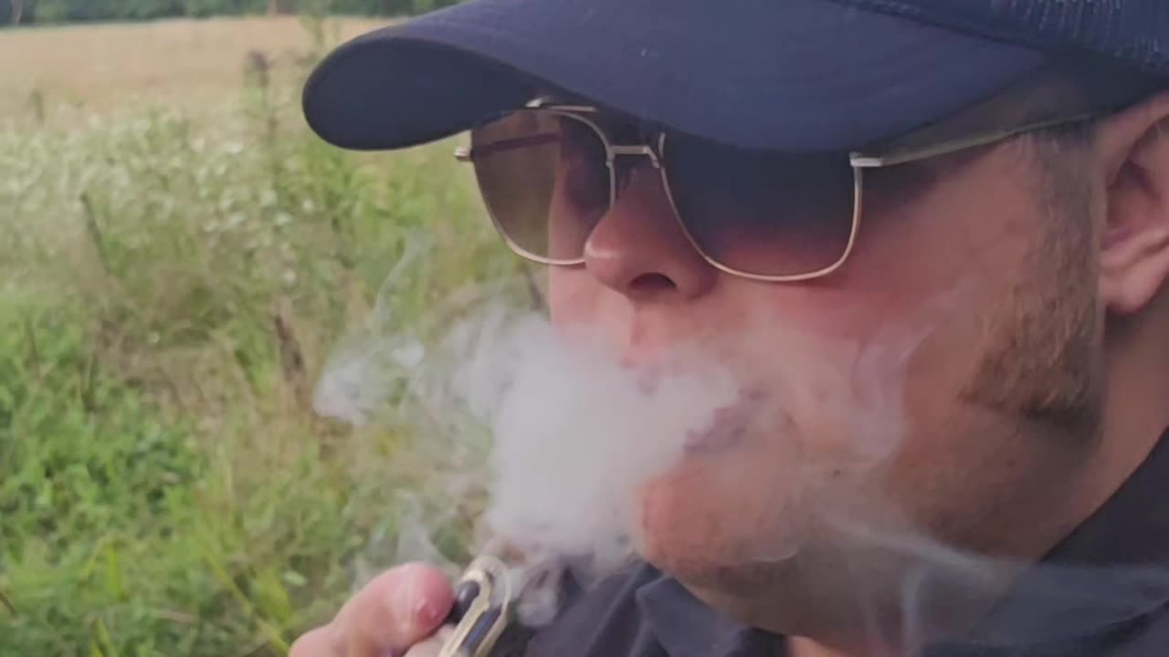 Safe Keepings Alec Bradley.