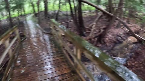 Nature Speedrun: Flying on a Secret Trail