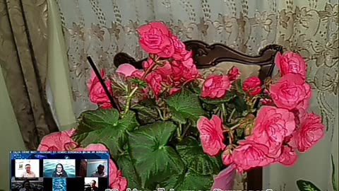 OLTEA HOZAN -CE BINE CĂ ÎL AM PE DUMNEZEU- #caleacătrerai #editor Valentin Trif #poezie #share