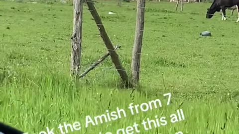 🚨#BREAKING_ Amish created a barn in one days time