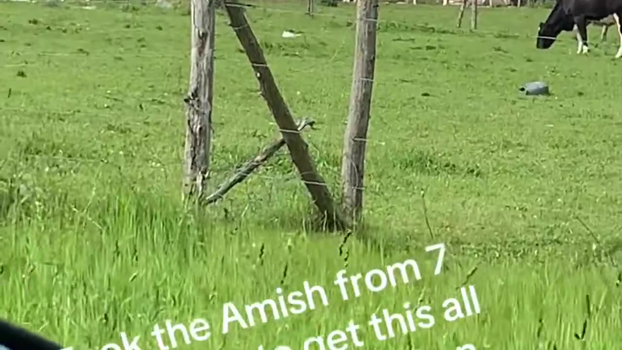 🚨#BREAKING_ Amish created a barn in one days time