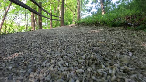 A Really Nice Walk