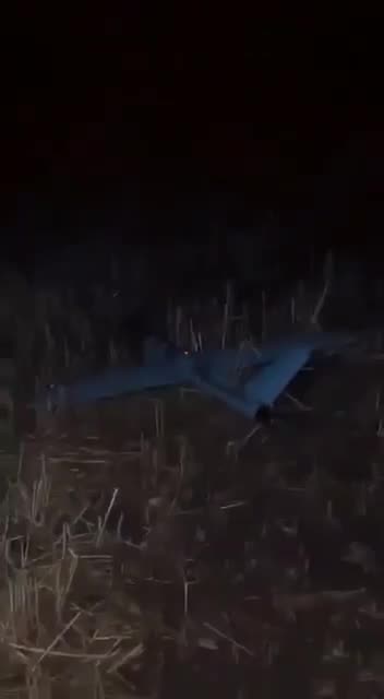 ❗️Claimed as footage from Kashmir that shows an Indian UAV shot down inside Pakistani