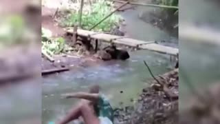 Funny video