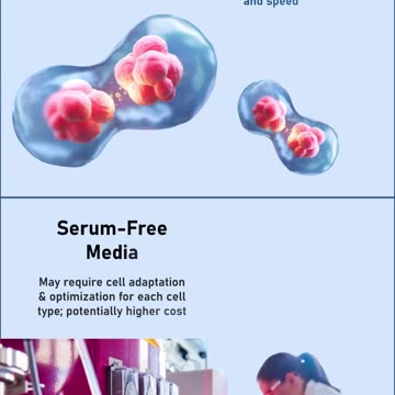 Serum-Free or Serum-Containing Media CHOICE Impacts Clinical Safety