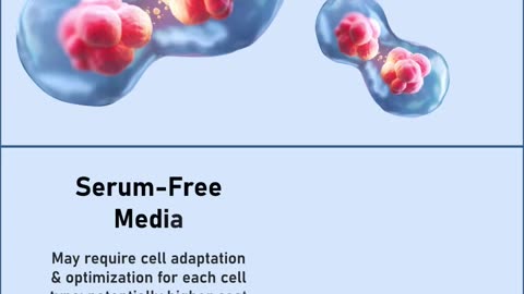 Serum-Free or Serum-Containing Media CHOICE Impacts Clinical Safety