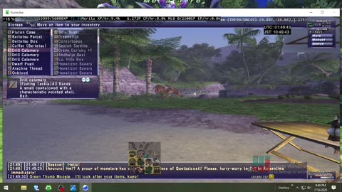 Playing Final Fantasy XI Online