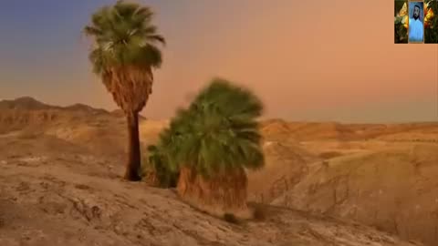 القران الكريم تلاوات تبكي العين