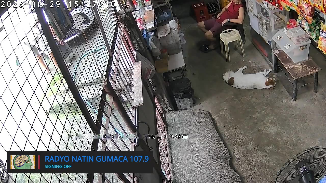 Mitsubishi Xpander 2019 Live