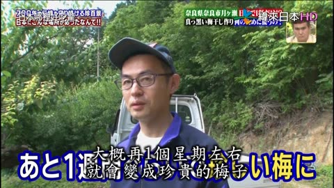 ナニコレ珍百景-現在怎麼樣了-游泳池