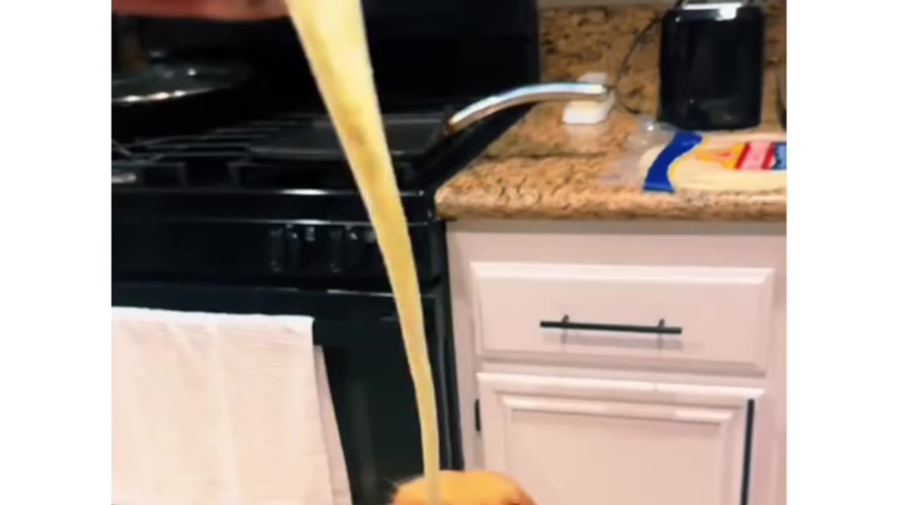 Dog gets a cheese pull