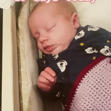 Kayla’s Day 19 Adventure: Heartwarming Newborn Update!