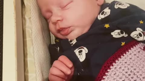Kayla’s Day 19 Adventure: Heartwarming Newborn Update!