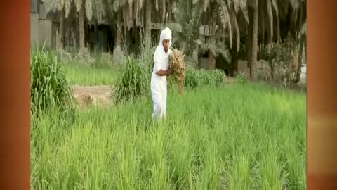 Saudi Arabia Desert Is Not What We Thought it Was!