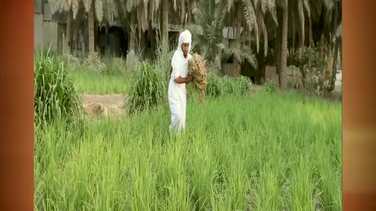 Saudi Arabia Desert Is Not What We Thought it Was!