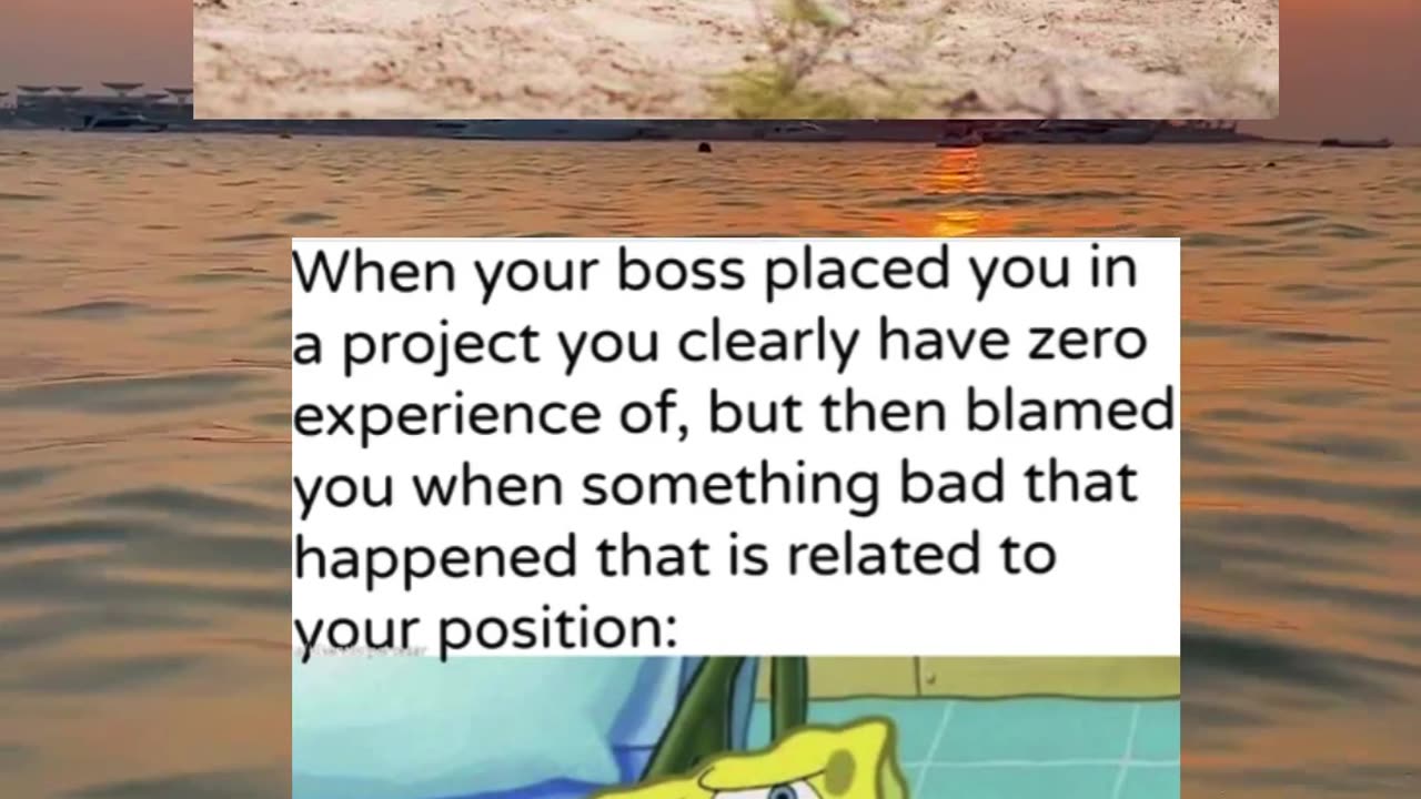 I was not prepared for this level of chaos #funny #memes