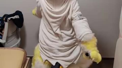 【略！】猫猫跑过来了！ta要干什么！？