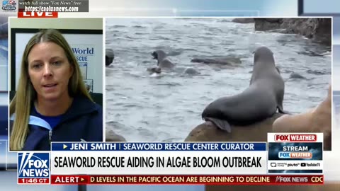 America Reports 2PM - 5/6/2025