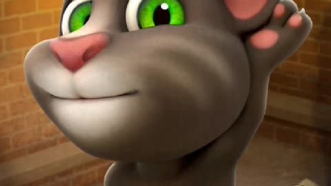 Funny cat