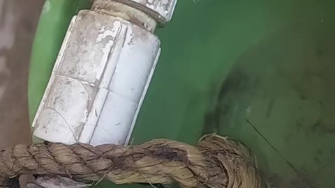 This is bor in the lickeg