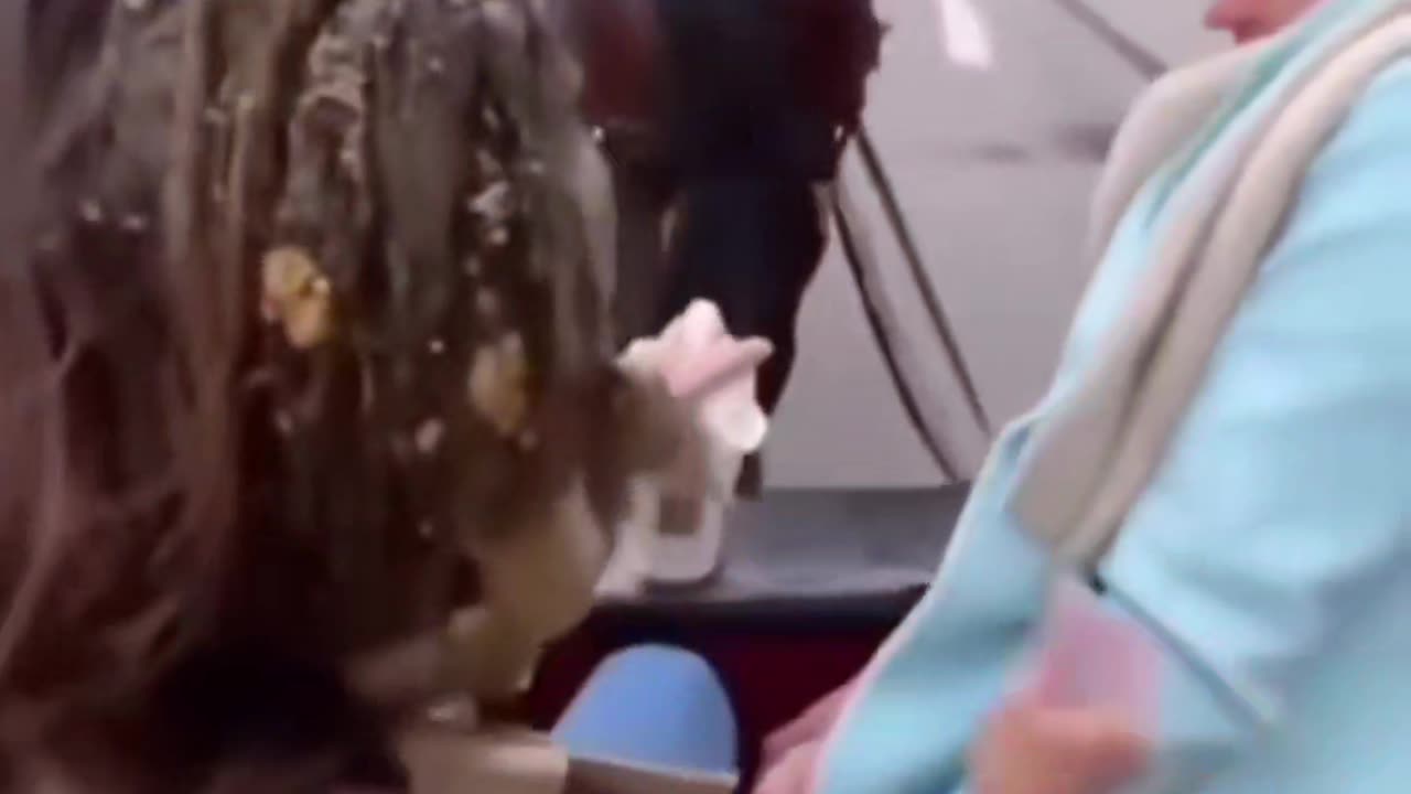 Crazy horse...save my coffee