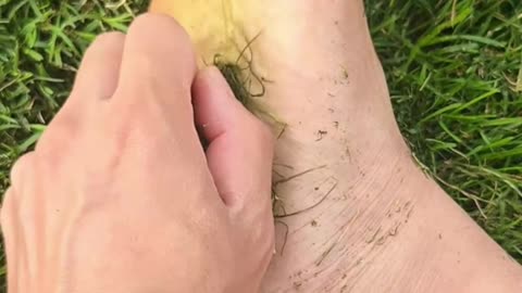 Touching Grass: Barefoot Grounding ASMR (Solo Park Vlog) #atx #nature #documentinglife #outdoorlife