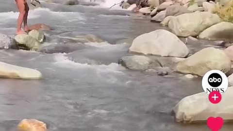 🦧💦 Incredible Rescue! Man Saves Monkey From Dangerous River | FunFM