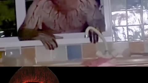 😱👺 Skinwalker Trying to Get In: A Terrifying Encounter | TheHauntingHour