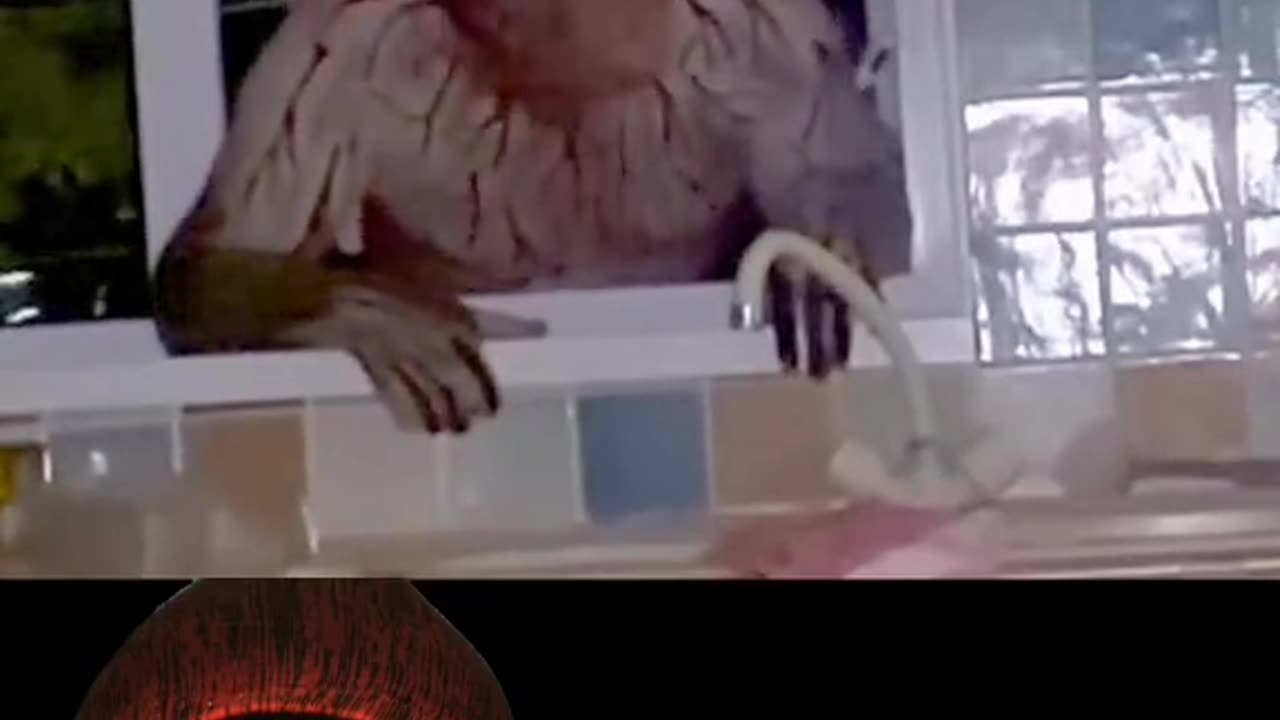 😱👺 Skinwalker Trying to Get In: A Terrifying Encounter | TheHauntingHour