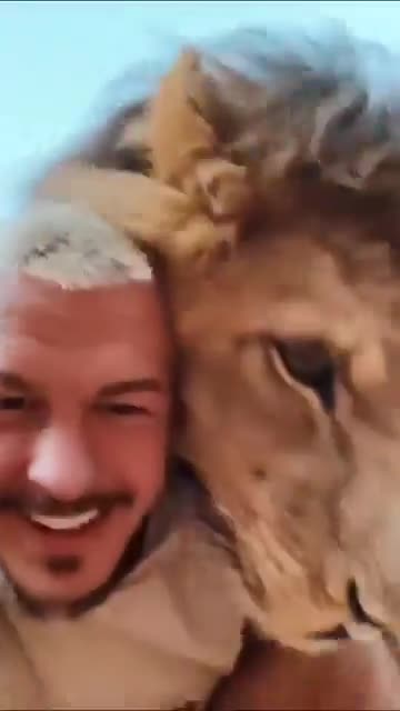 Well here is a lion with his human friend