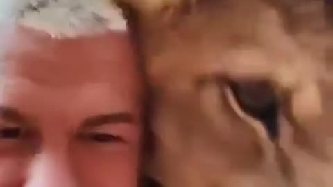 Well here is a lion with his human friend 