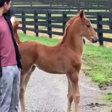 Fancy prancing.. 😊