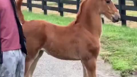 Fancy prancing.. 😊