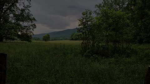 An Evening in Cades Cove