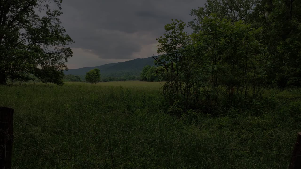 An Evening in Cades Cove