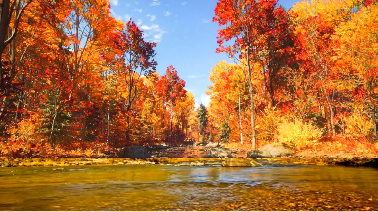 Jazz Ambience Cool Peaceful Autumn Morning at the Mountain Stream