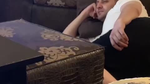 Energized Kitten Plays Tag With Owner