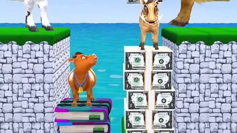 Video for kids