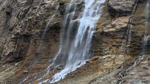 beautiful collection of the earth captured moments /petflixandchill