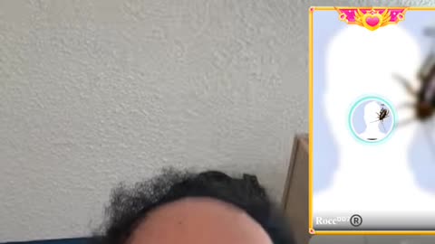 DOLLBABY KASH STRANDED IN DEKALB BROKE & DESTITUTE