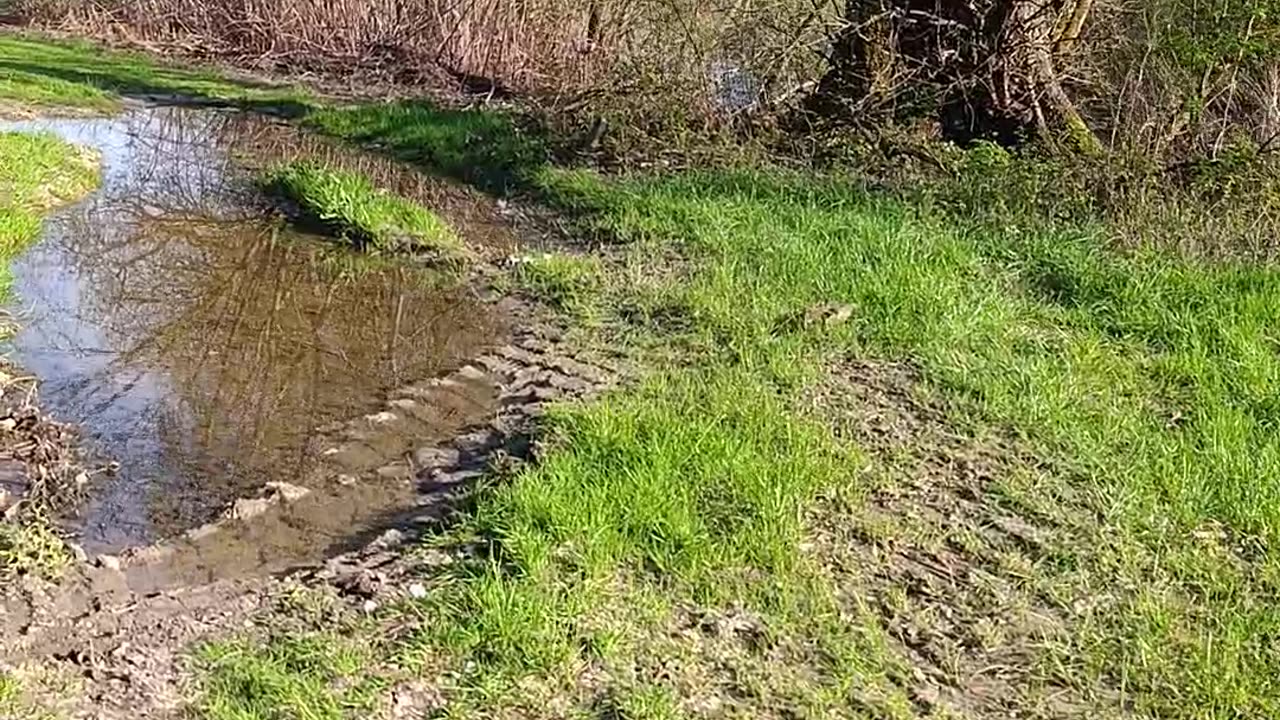River