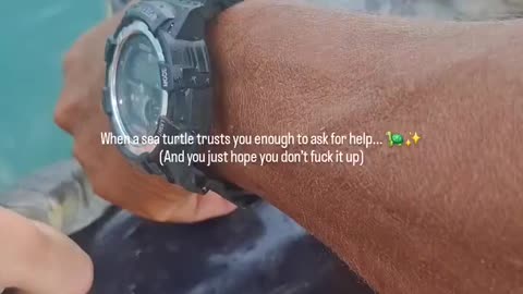 Helping sea turtle