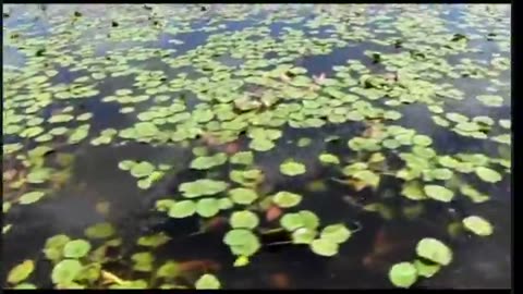 Tan tri Ahura Teachings (2013) 5_4 Chismatic 2 Technique 4 opening